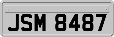 JSM8487