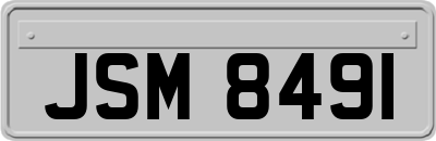 JSM8491