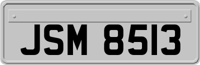 JSM8513