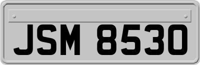 JSM8530