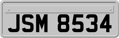 JSM8534