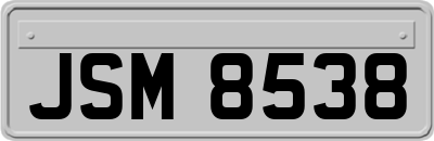 JSM8538