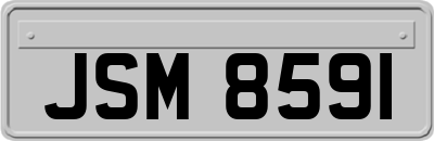 JSM8591