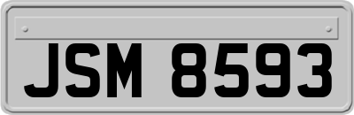 JSM8593