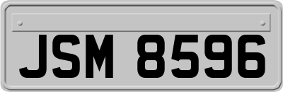 JSM8596