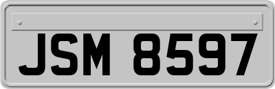 JSM8597