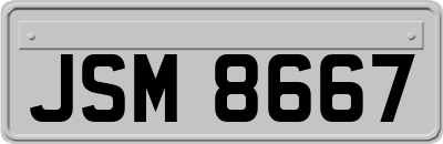 JSM8667