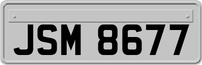 JSM8677