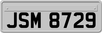 JSM8729
