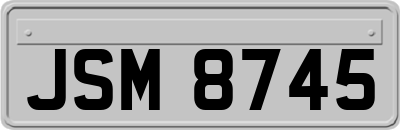 JSM8745
