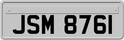 JSM8761