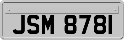 JSM8781