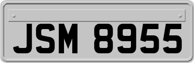 JSM8955