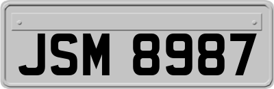 JSM8987