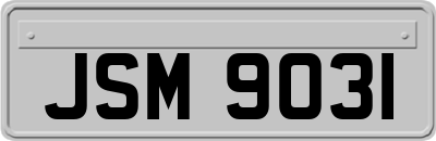 JSM9031