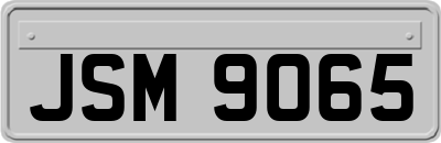 JSM9065