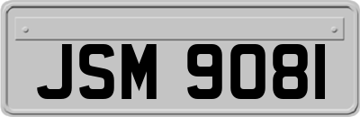 JSM9081