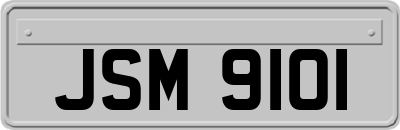 JSM9101