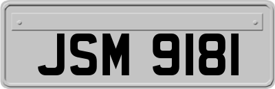 JSM9181