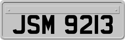 JSM9213