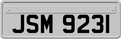 JSM9231