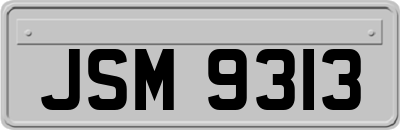 JSM9313