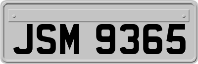 JSM9365