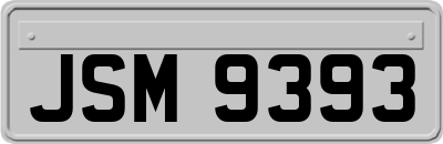 JSM9393