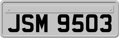 JSM9503