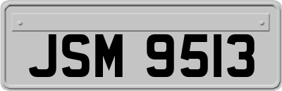 JSM9513
