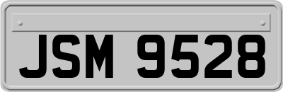 JSM9528