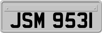 JSM9531