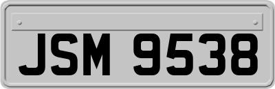 JSM9538