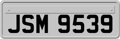 JSM9539