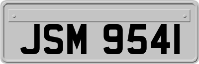 JSM9541