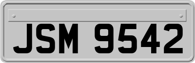 JSM9542