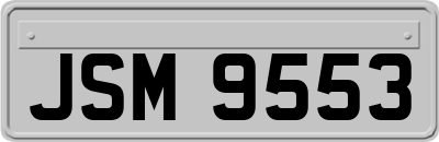 JSM9553
