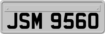 JSM9560