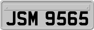 JSM9565