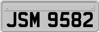 JSM9582