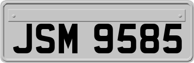 JSM9585