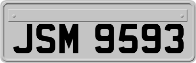 JSM9593