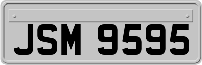 JSM9595