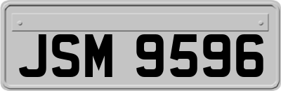 JSM9596