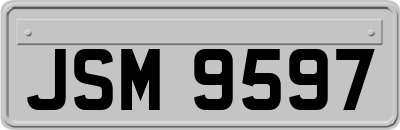 JSM9597