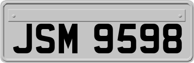 JSM9598