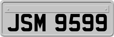 JSM9599