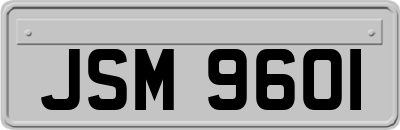 JSM9601