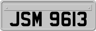 JSM9613