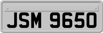JSM9650